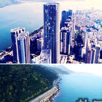 鹽田區(qū)地址掛靠